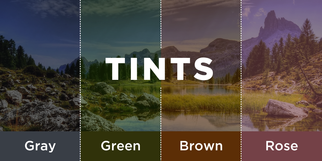 tints for eyeglass lenses