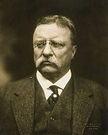 Teddy Roosevelt glasses