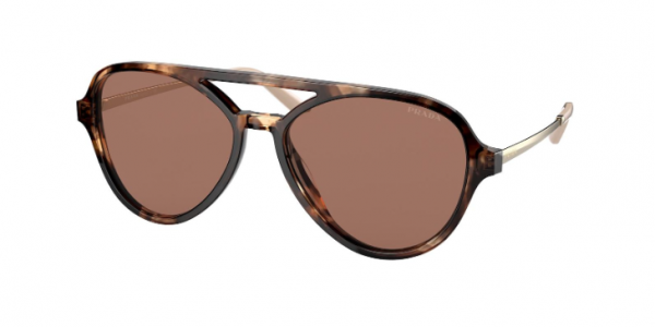 Tortoiseshell Frames: A Forever Fashionable Eyewear Style - EZOnTheEyes