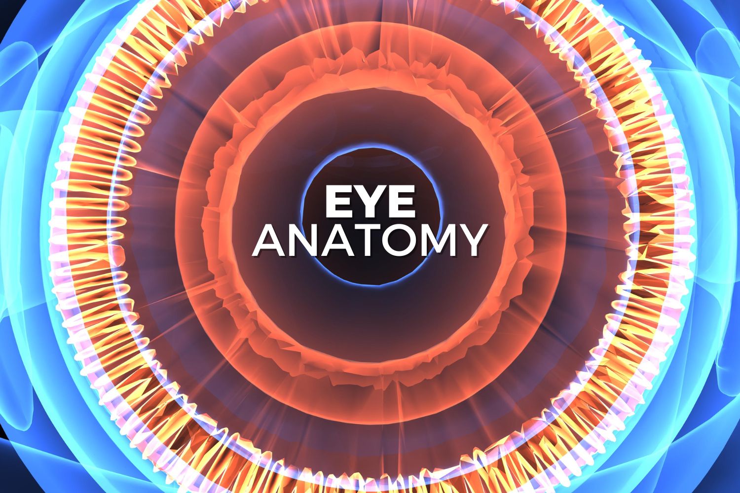 Anatomy Lesson: What Is the Retina? - Eye Care Specialists