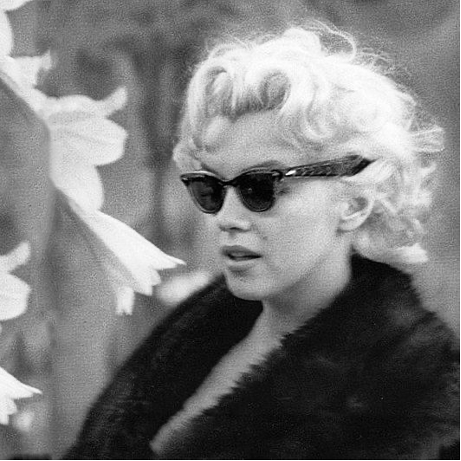 Marilyn-Wayfarers