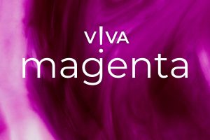 Viva magenta eyewear